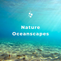 Underwater World - Nature Oceanscapes