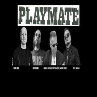 Playmate - Hibernation