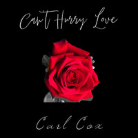 Carl Cox - Can't Hurry Love