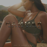 Wayne Spice - Hammer