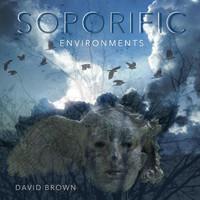 David Brown - Soporific Environments