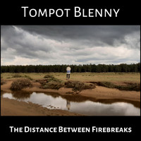 Tompot Blenny - The Distance Between Firebreaks