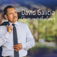 David Galicia - Quiero Cantarle al Amor