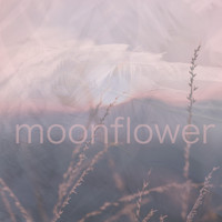Moonflower - Feathered Touch