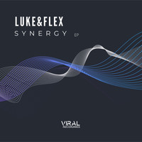 LUKE&FLEX - Synergy