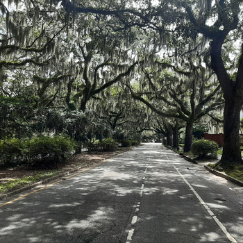 Charles Bunting - No Crowds Needed