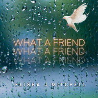 Elisha J. Mitchell - What a Friend