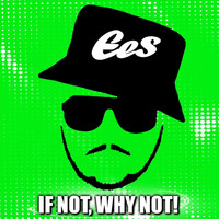 EES - If Not, Why Not!