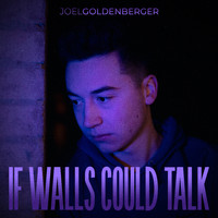 Joel Goldenberger - If Walls Could Talk
