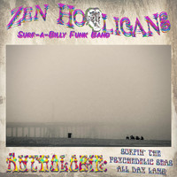 Zen Hooligans Surf-a-Billy Funk Band - Anthologie: Surfin' the Psychedelic Sea All Day Lang (Explicit)