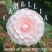 Camellia - Queen of Ironic Subtlety