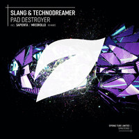 Slang and Technodreamer - Pad Destroyer