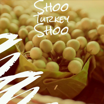 Various Artist - Shoo Turkey Shoo
