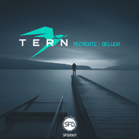 TERN - Recreate / Beluga