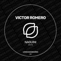 Victor Romero - Naguini
