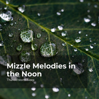 Thunder Storms & Rain Sounds, Thunderstorm, Thunderstorm Sleep - Mizzle Melodies in the Noon