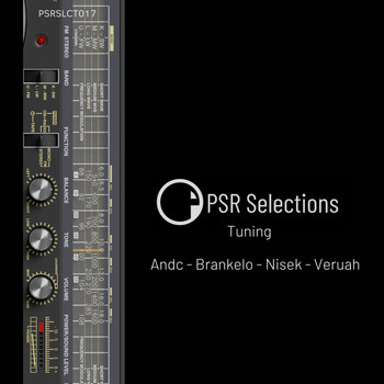 Various Artists - Tuning