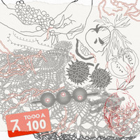Coco Bazar - TODO A 100