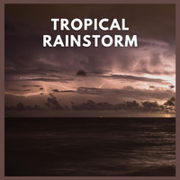 Thunderstorm Global Project from TraxLab - Tropical Rainstorm