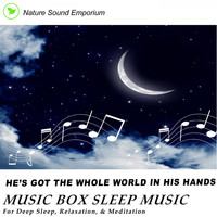 Nature Sound Emporium - He's got the Whole World in His Hands