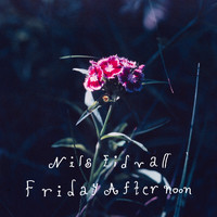 Nils Eidvall - Friday Afternoon