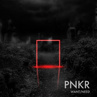 PNKR - Want / Need