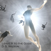 D.S. Wilson - Leave It to the Gods