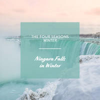 George Anderson - The Four Seasons - Winter: Niagara Falls in Winter
