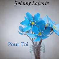 Johnny Laporte - Pour Toi