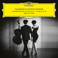 Gautier Capuçon, Yuja Wang - Brahms: Cello Sonata No. 1 in E Minor, Op. 38: I. Allegro non troppo