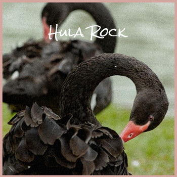 Various Artist - Hula Rock