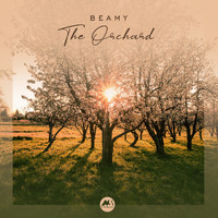 Beamy - The Orchard