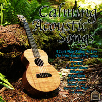 Acoustic Moods Ensemble - Calming Acoustic Songs