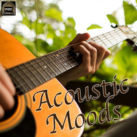 Acoustic Moods Ensemble - Acoustic Moods
