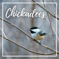 Anastace - Chickadees