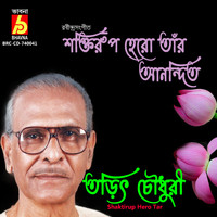 Tarit Chaudhury - Shaktirup Hero Tar