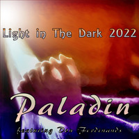 Paladin - Light in the Dark (feat. Don Ferdinands)