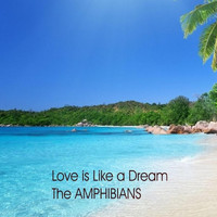 The Amphibians - Love Is Like a Dream