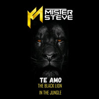 Mr Steve - Te Amo