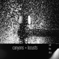 Canyons and Locusts - Roll the Dice (Explicit)