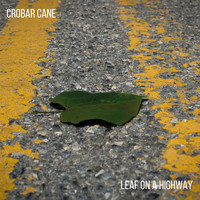 Crobar Cane - Leaf on a Highway