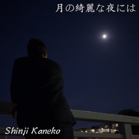 Shinji Kaneko - 月の綺麗な夜には