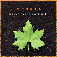 David Garrido Guil - Visual