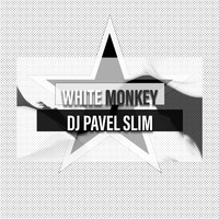 DJ Pavel Slim - White Monkey