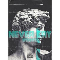 Streetz - NEVER CRY2 (Explicit)