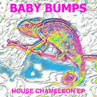 Baby Bumps - House Chameleon