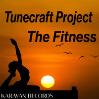 Tunecraft Project - The Fitness