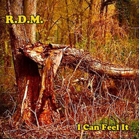 R.D.M. - I Can Feel It