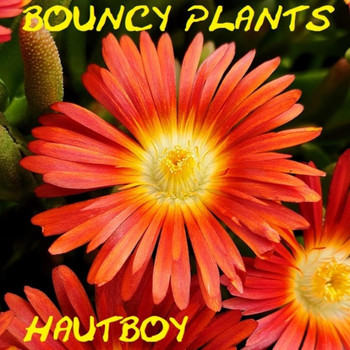 Hautboy - Bouncy Plants