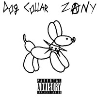 zany - Dog Collar (Explicit)
